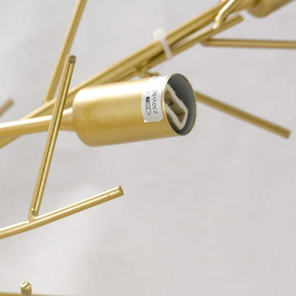 SY5548_6.jpg SY5548_6.jpg