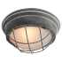 Потолочный светильник Lussole  Brentwood GRLSP-9881