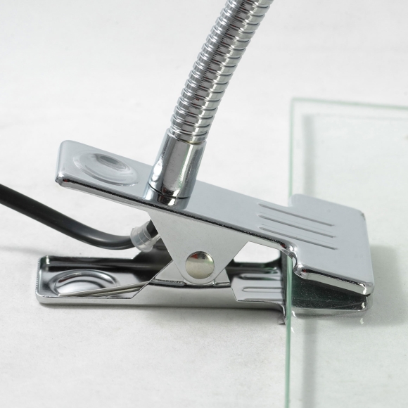 Настольная лампа Lussole  Roma LST-4264-01