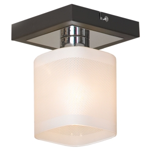 Потолочный светильник Lussole  Costanzo LSL-9007-01
