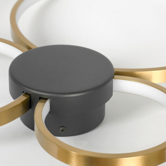 SY2117_1.jpg SY2117_1.jpg