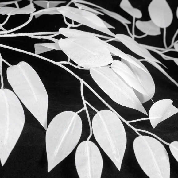 SY5750_2.jpg SY5750_2.jpg