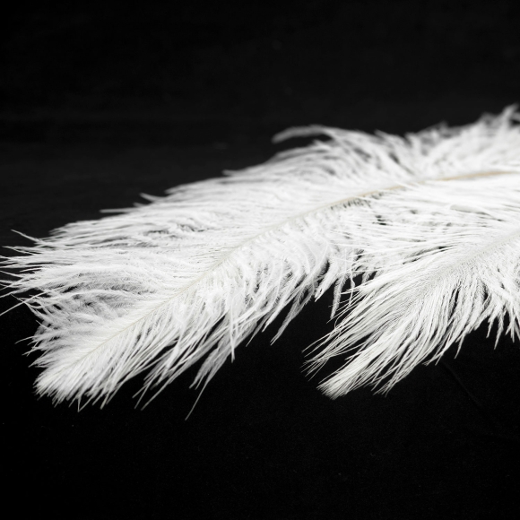 Люстра Lussole LSP-8600 Люстра Lussole LSP-8600