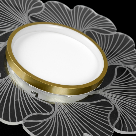 SY0437_1.jpg SY0437_1.jpg