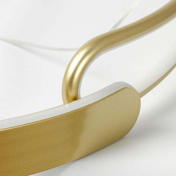 SY1617_1.jpg SY1617_1.jpg