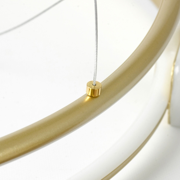 SY1617_2.jpg SY1617_2.jpg