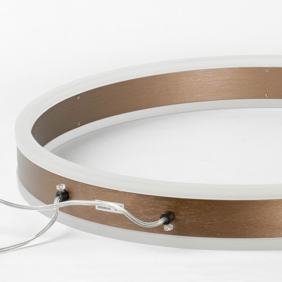 SY2917_2.jpg SY2917_2.jpg