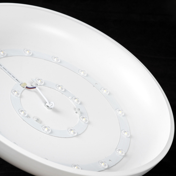 SY1637_1.jpg SY1637_1.jpg