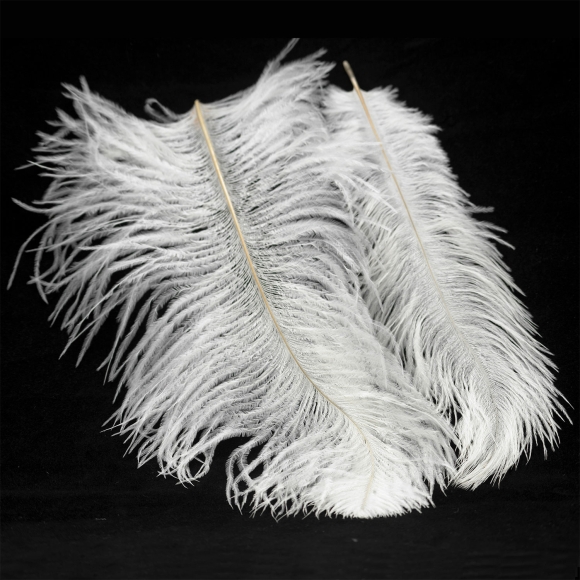 SY1068_2.jpg SY1068_2.jpg