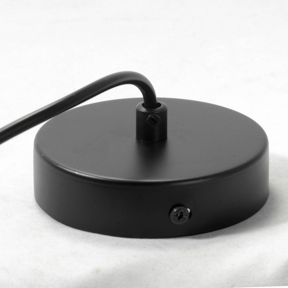 Подвесной светильник Lussole  Caldwell LSP-0178