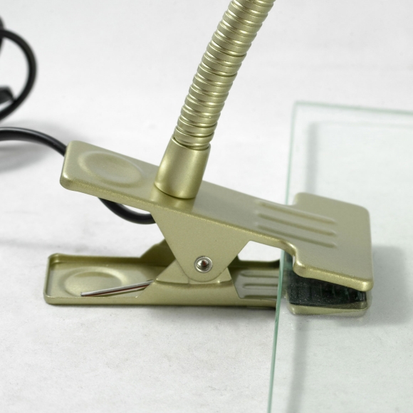 Настольная лампа Lussole  Roma GRLST-4274-01