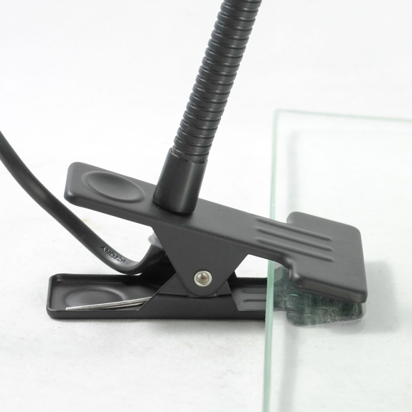 Настольная лампа Lussole  Roma GRLST-4214-01