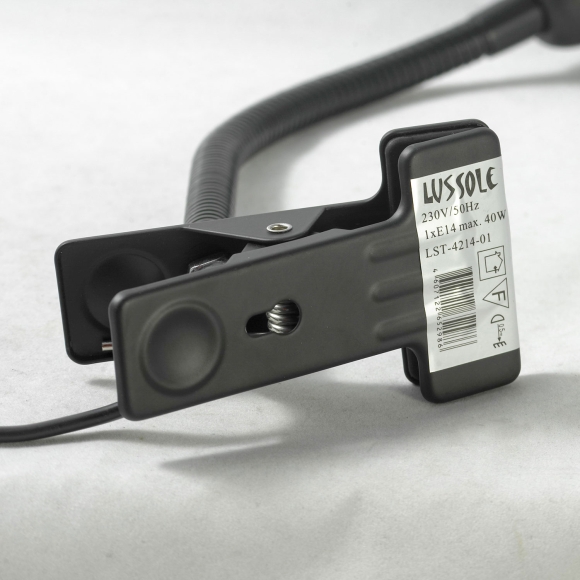 Настольная лампа Lussole  Roma LST-4214-01