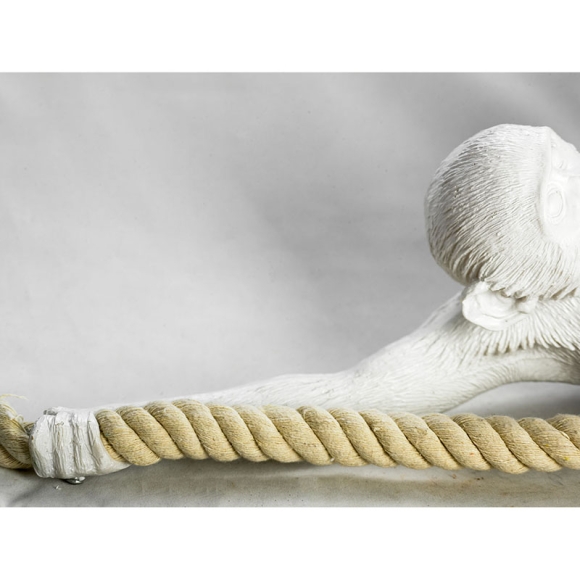 SY3999_3.jpg SY3999_3.jpg