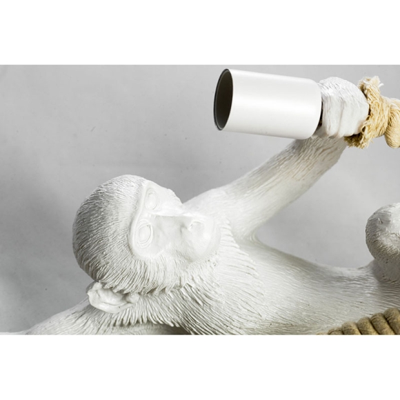 SY3999_4.jpg SY3999_4.jpg