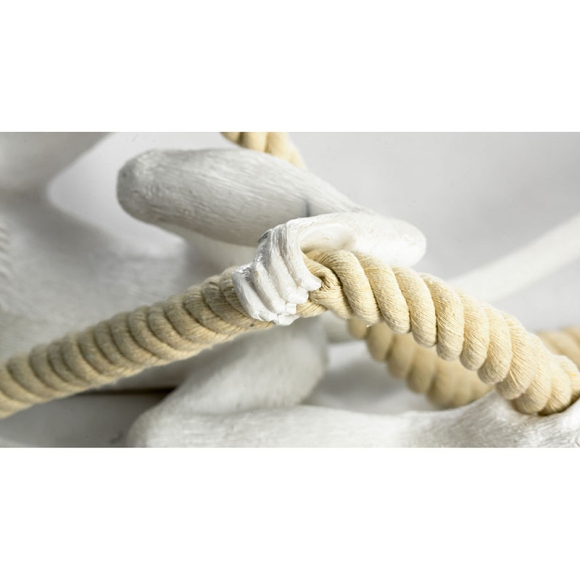 SY3999_5.jpg SY3999_5.jpg